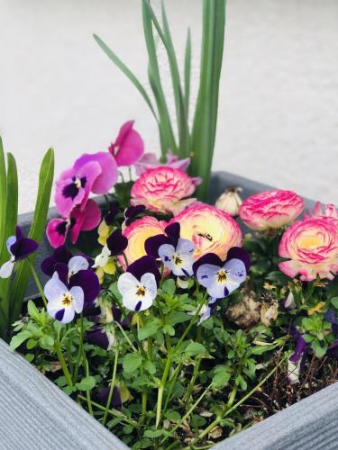 38E8298F-98F7-4590-8B54-4CF725C43379